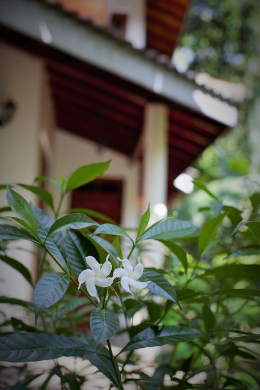 Binara Home Stay Polonnaruwa Buitenkant foto