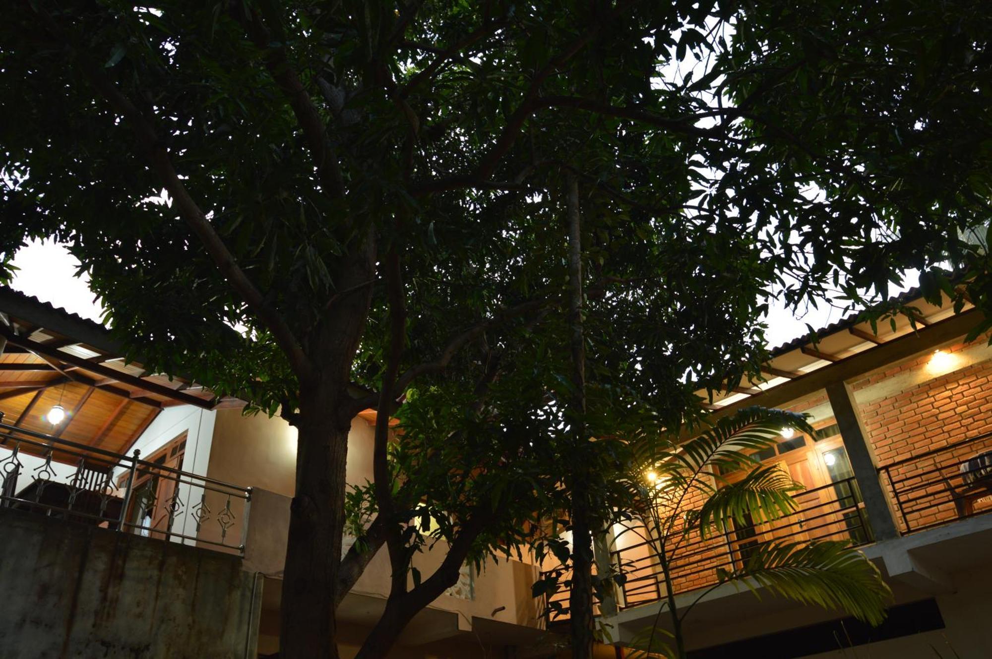 Binara Home Stay Polonnaruwa Buitenkant foto