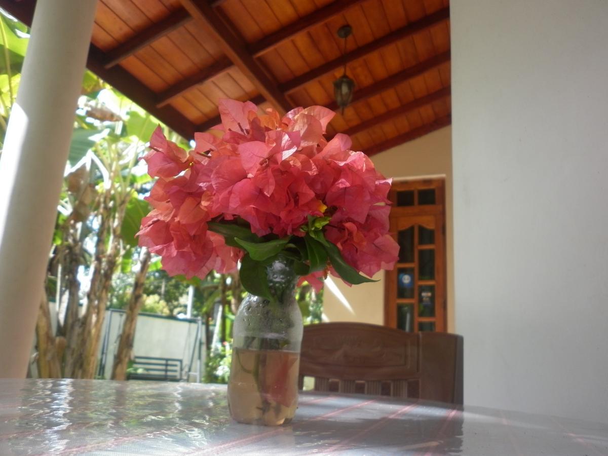 Binara Home Stay Polonnaruwa Buitenkant foto